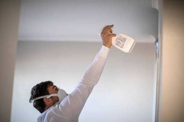 Best Certified Mold Removal  in Crandon, WI