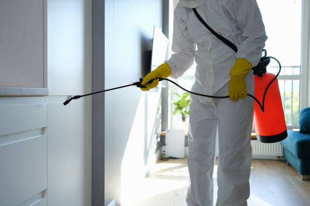 Best Emergency Mold Removal  in Crandon, WI